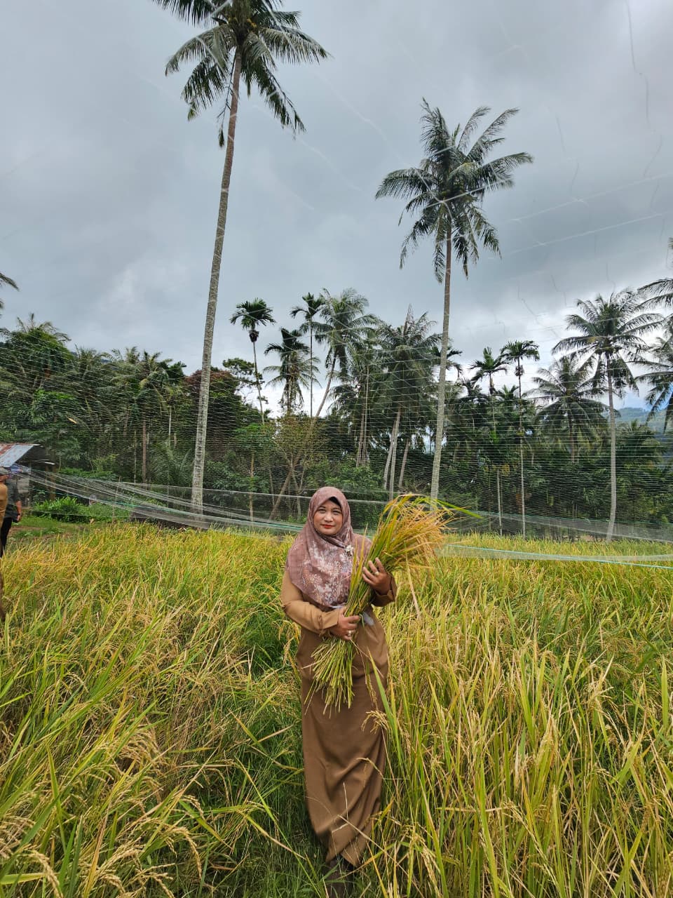 Alumni FP USK Kota Sabang Kutuk Keras Pembakaran Gedung dan Laboratorium Fakultas Pertanian